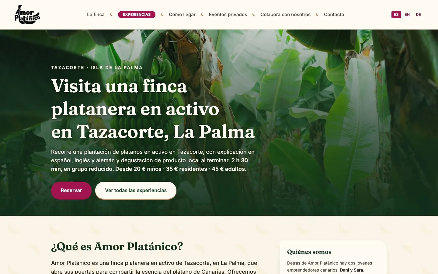 Amor Platánico en el ordenador